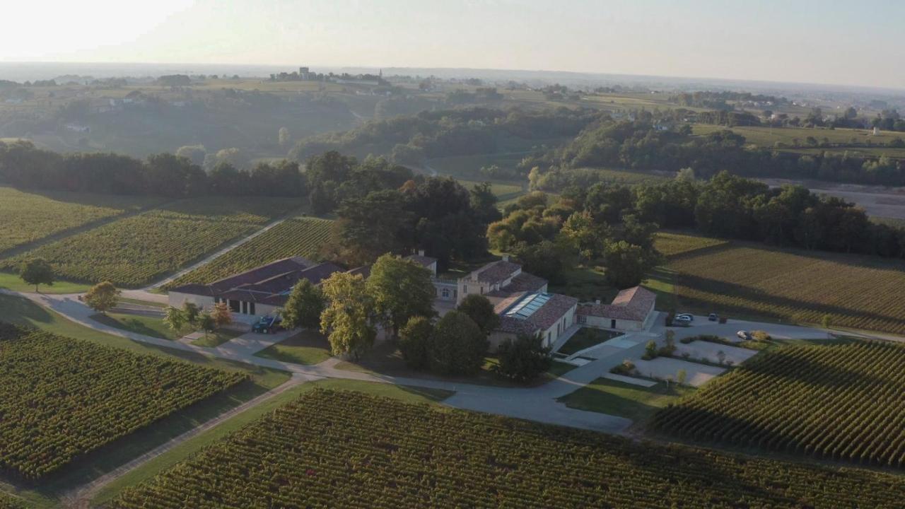 Chateau De Ferrand Saint-Émilion Esterno foto