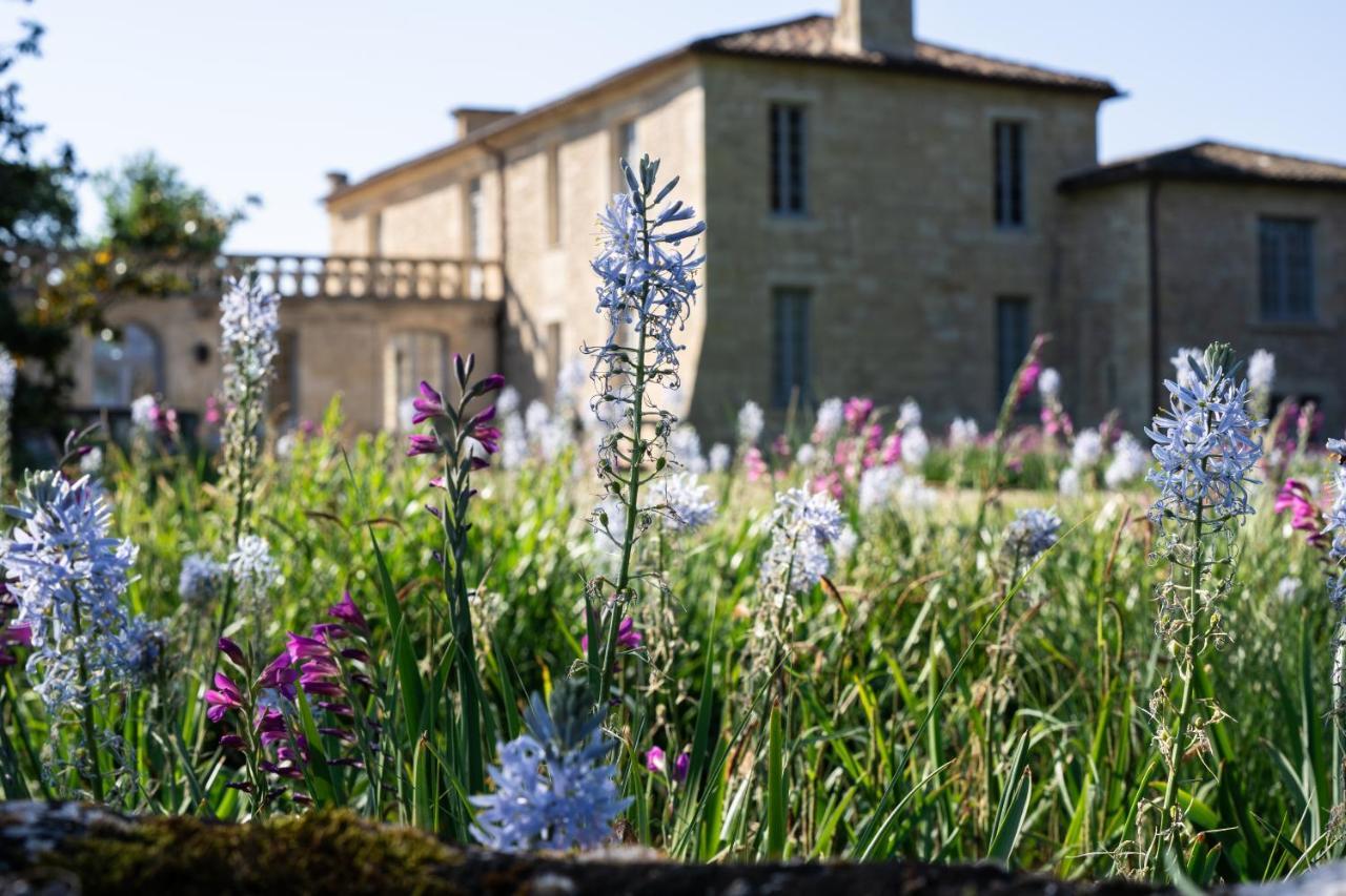 Chateau De Ferrand Saint-Émilion Esterno foto